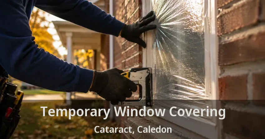 Temporary Window Covering Cataract, Caledon - ON