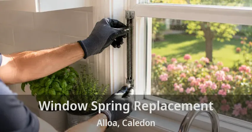 Window Spring Replacement Alloa, Caledon - ON